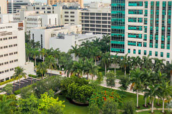 Miller School of Medicine